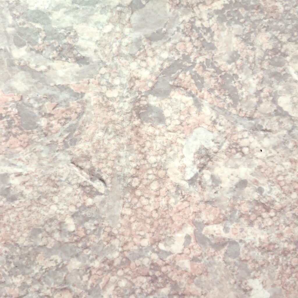 Πλαστικό δάπεδο Tarkett VENUS 325-07 100000069 - Klonaras