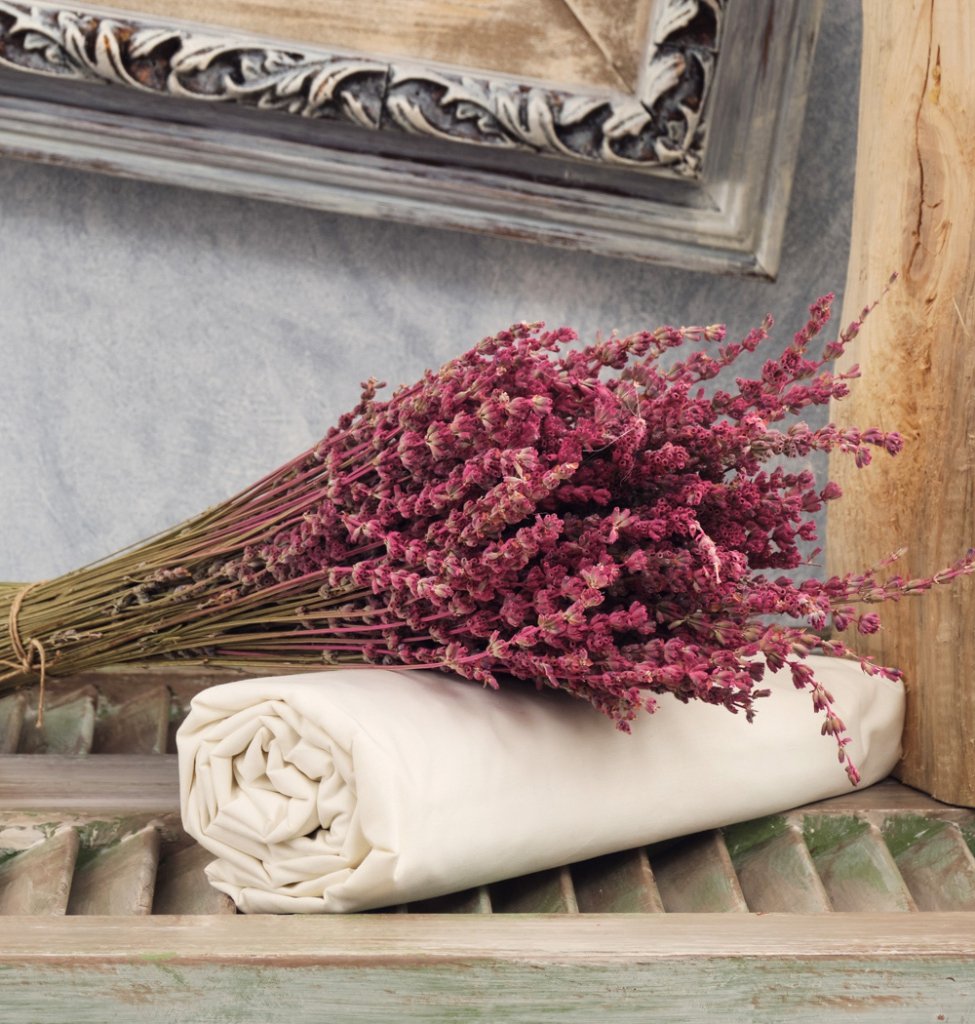 Σεντόνια Μονόχρωμα Λάστιχο Angel - Ivory, Υπέρδιπλο λάστιχο (175x200+25) - ANGEL- COKITEX