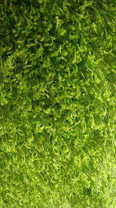 ΜΟΚΕΤΑ PAPILIO GREEN 300000172 - Klonaras